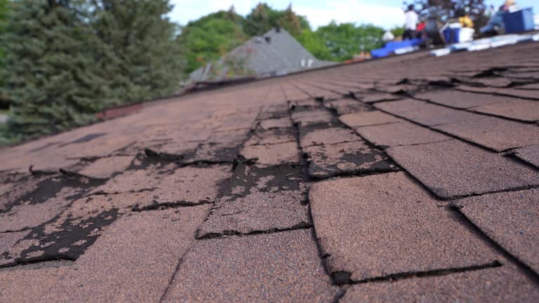 Emergency Roof Repair in Highland City, FL